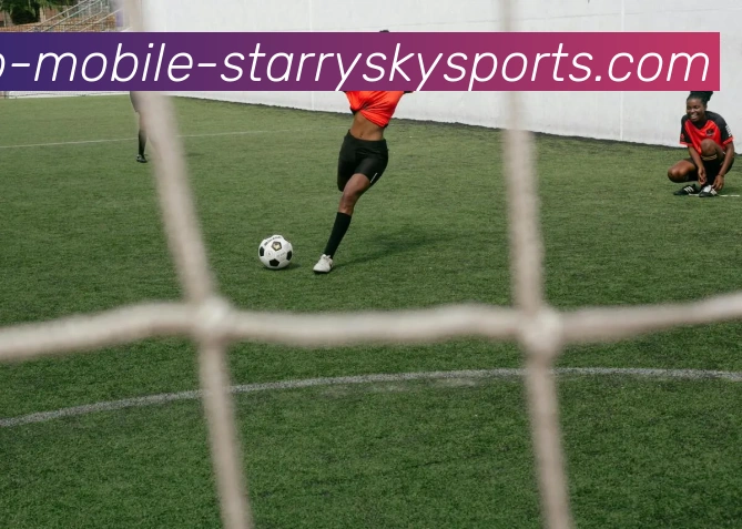 星空体育平台生态图