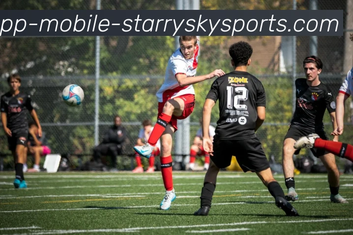 辅助工具 辅助工具